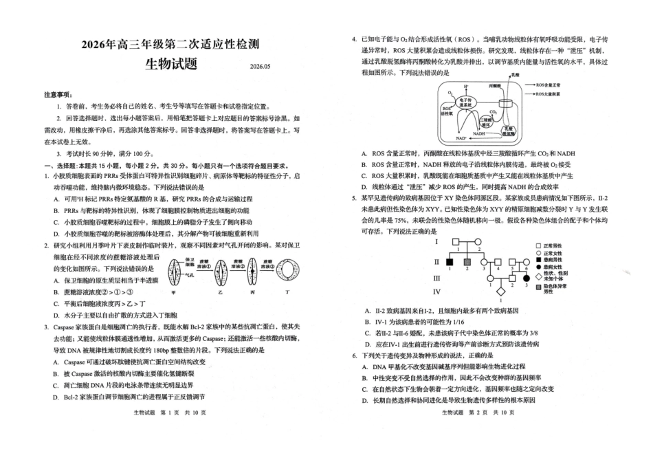 青岛市2026年高三年级第二次适应性检测生物.pdf_第1页