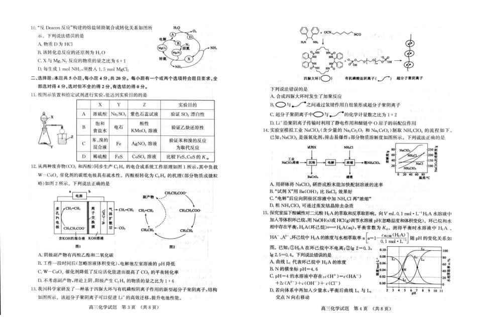 山东济南市2026届高三下学期针对性训练(三模)化学试卷.pdf_第2页
