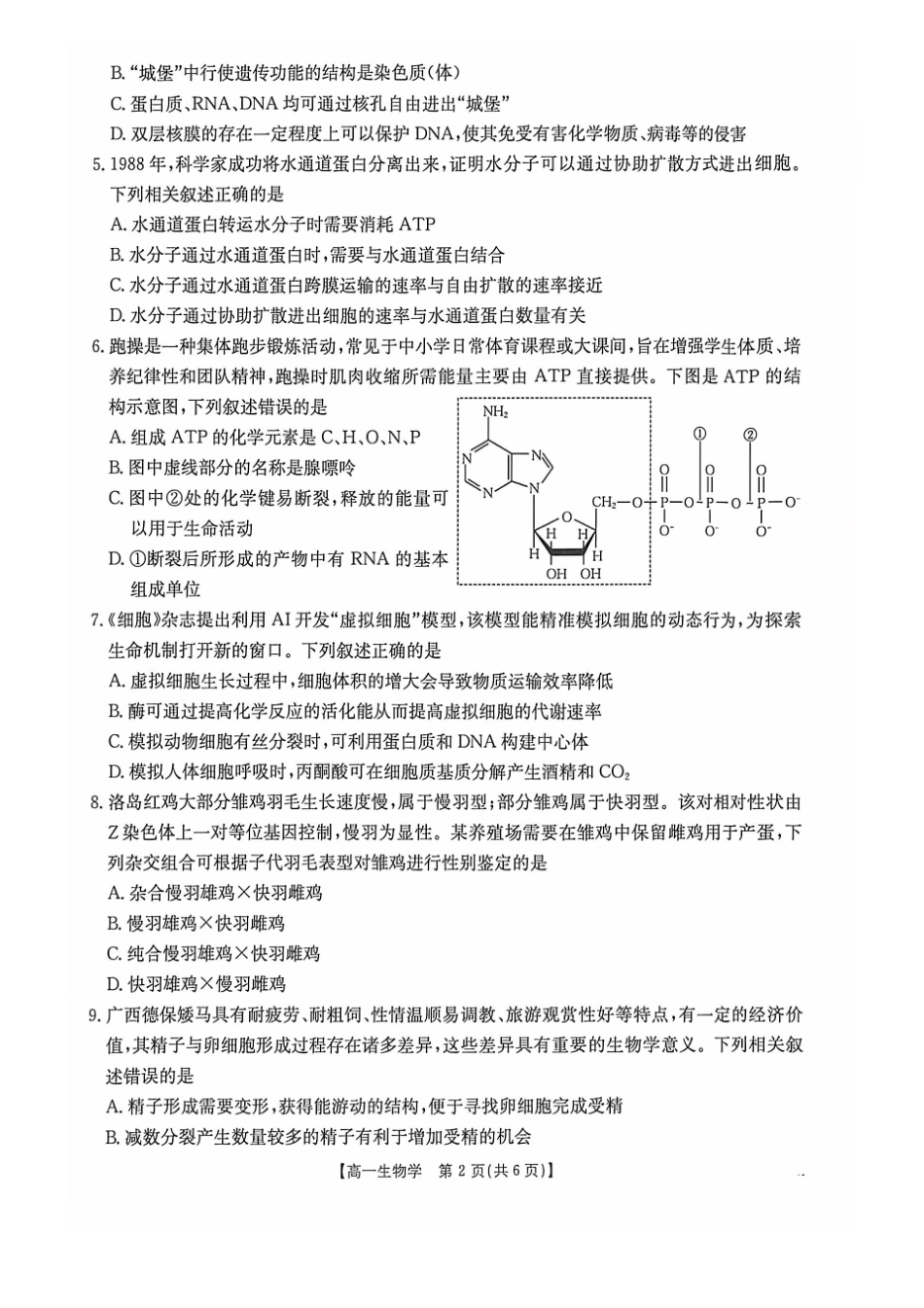 生物(26-399A)广西壮族自治区桂林市十二县2026年高一年级下学期春季期中考试(金太阳26-399A)(5.14-5.15).pdf_第2页