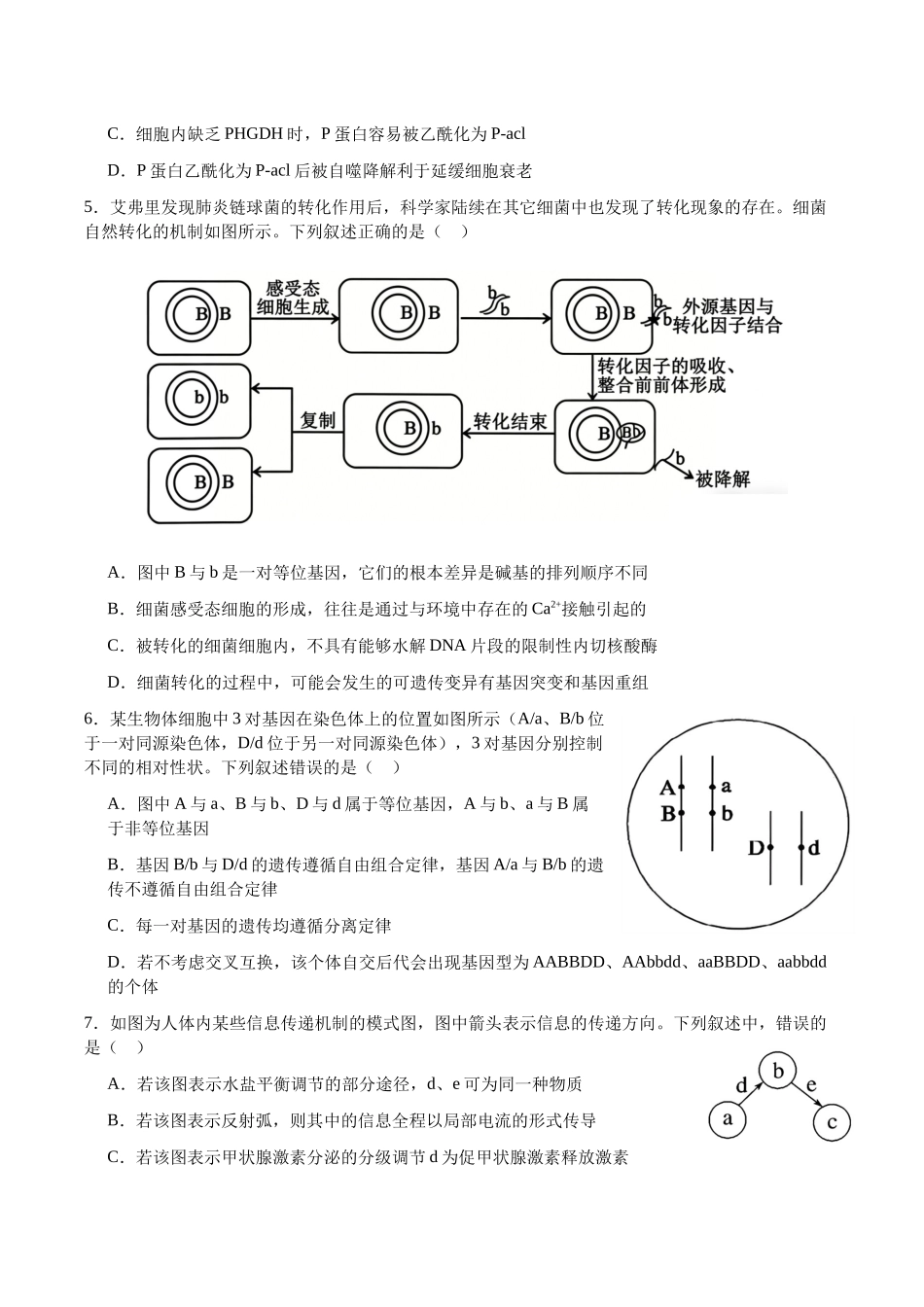 生物+答案四川字节精准教育联盟2026年普通高等学校招生全国统一考试冲刺(5.15-5.16).docx_第3页
