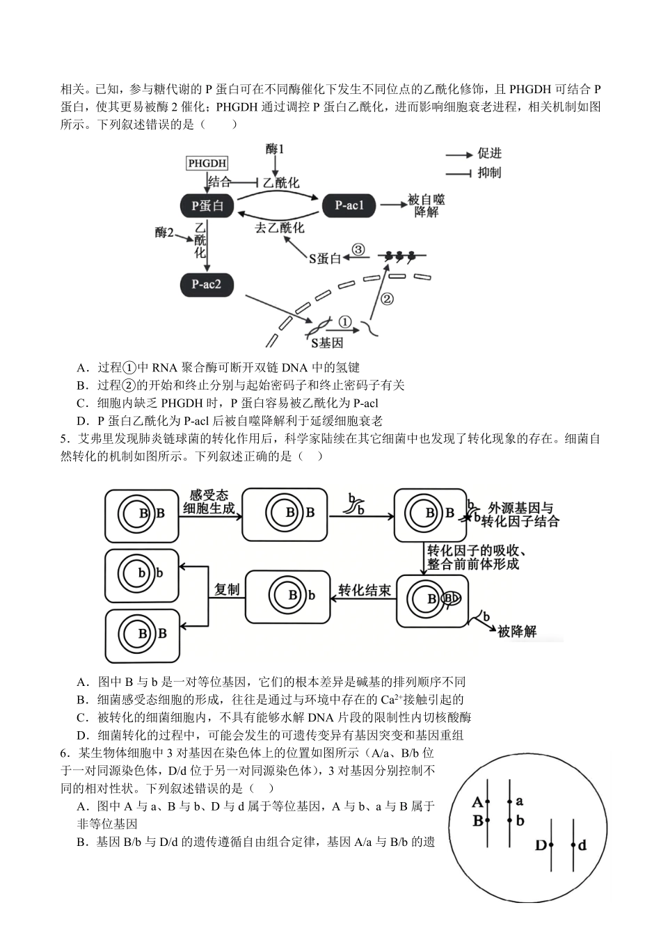 生物+答案四川字节精准教育联盟2026年普通高等学校招生全国统一考试冲刺(5.15-5.16).pdf_第2页