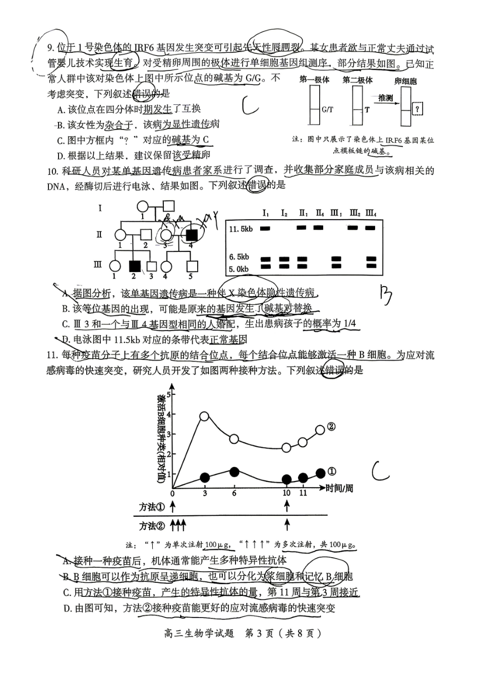 生物湖南郴州市2026届高三年级下学期考前教学质量检测(郴州高三四模)(5.11-5.13).pdf_第3页
