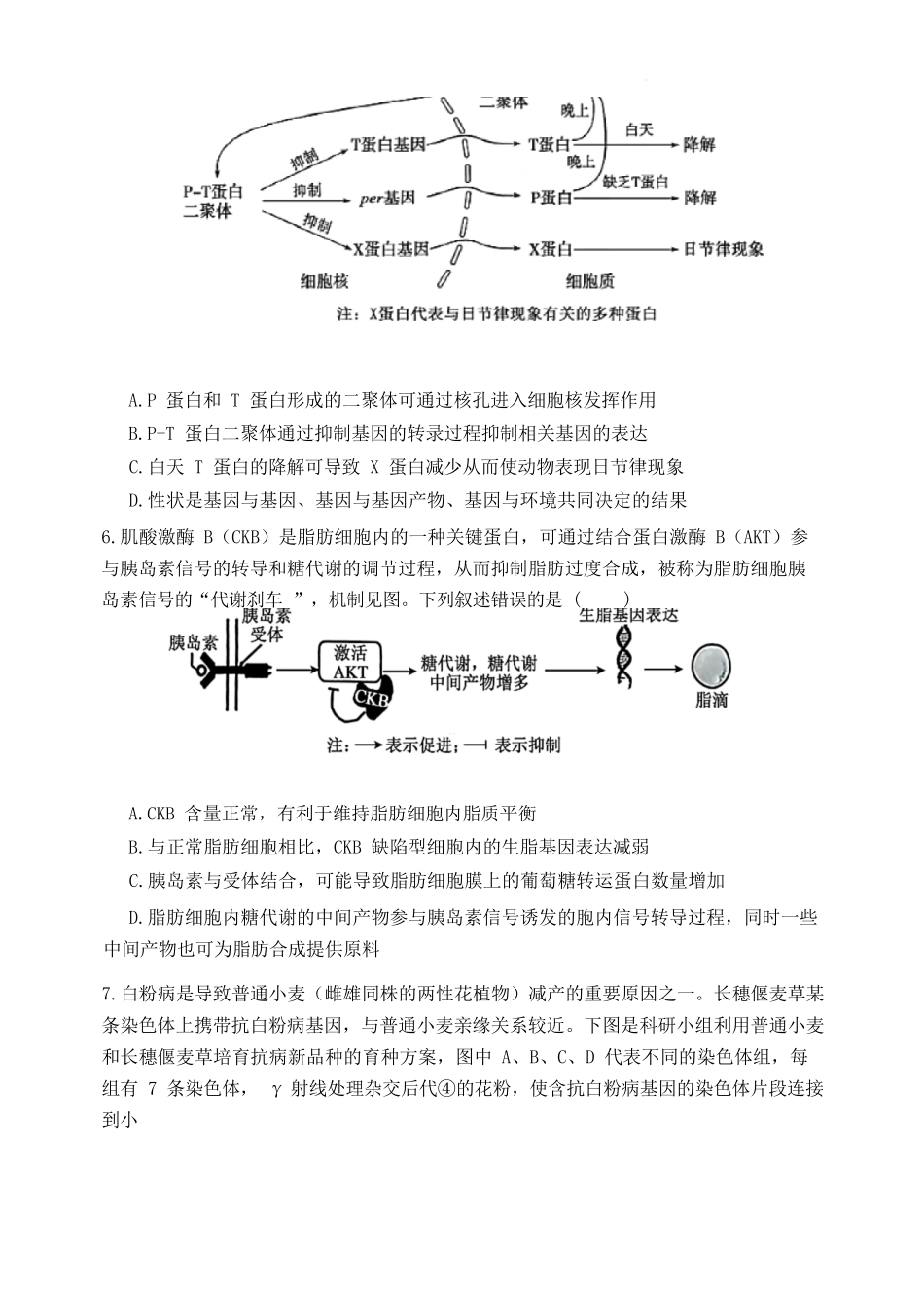 生物陕西西安市陕西师范大学附属中学2025-2026学年高三下学期5月(总第九次)阶段检测（5月第二周）.docx_第3页