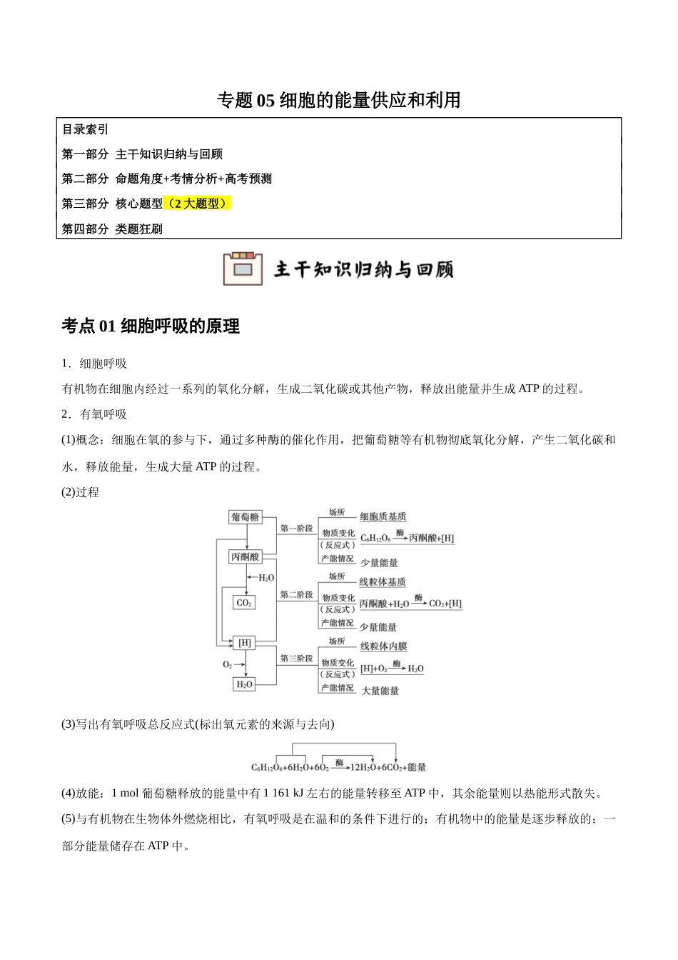 专题05 细胞的能量供应和利用（教师版）.docx_第1页