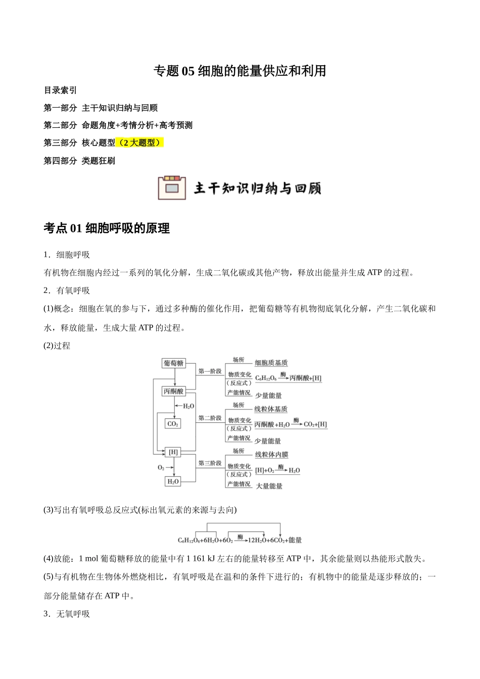 专题05 细胞的能量供应和利用（学生版）.docx_第1页