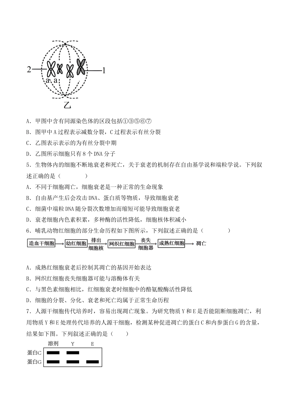 专题05 细胞的生命历程(包括减数分裂)(原卷版).docx_第3页
