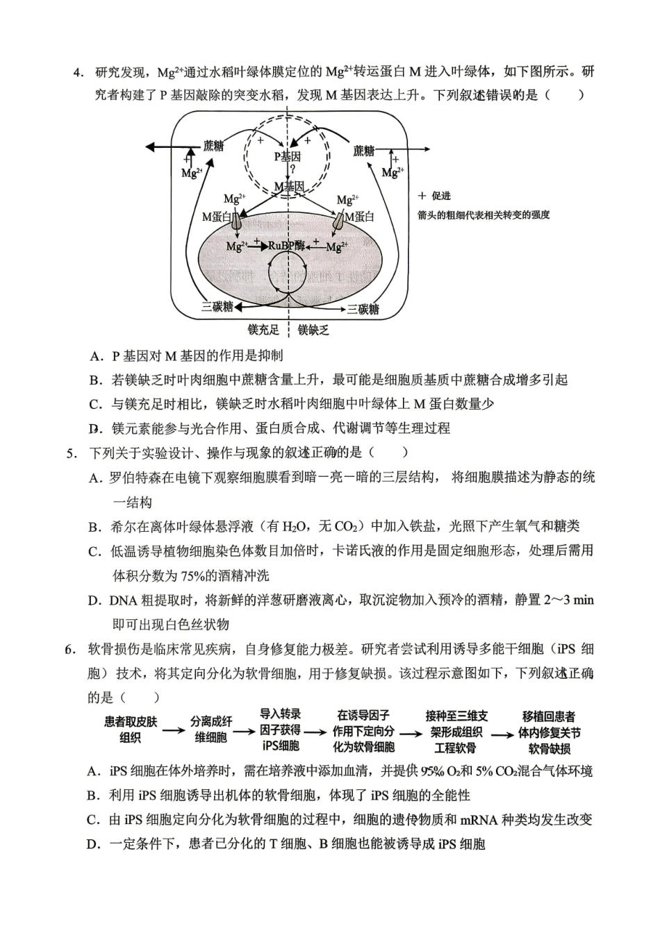 生物重庆市西南大学附中高2026届高三年级适应性测试(一)(西南大学附中一模)(5.14-5.16).pdf_第2页