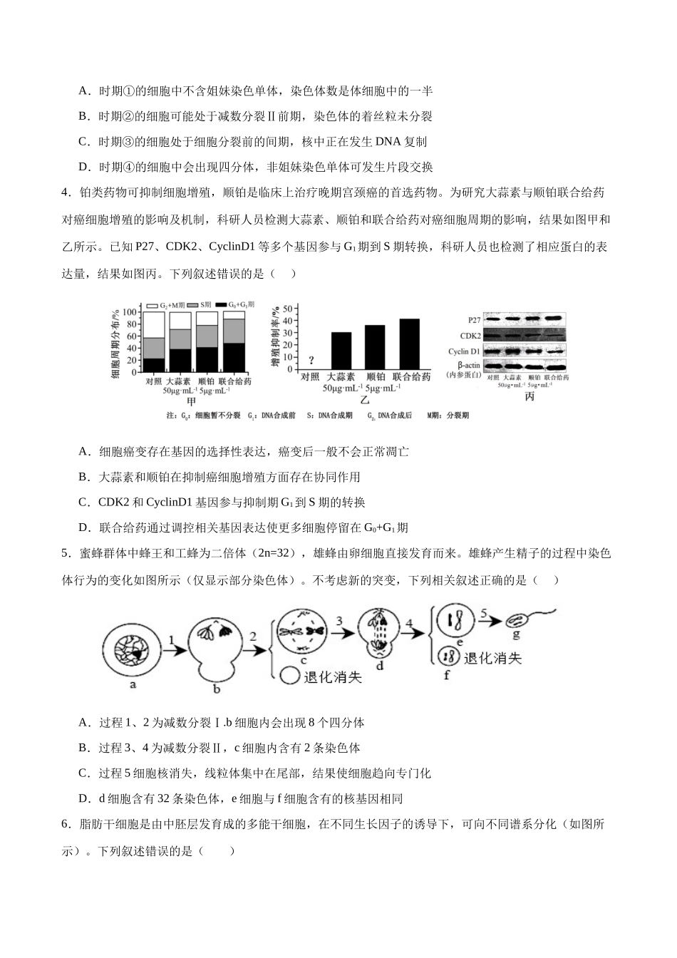 专题05 细胞的生命历程（选择题60道）（原卷版）.docx_第2页