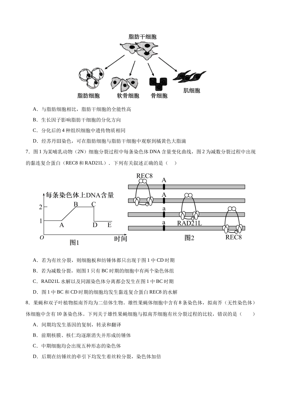 专题05 细胞的生命历程（选择题60道）（原卷版）.docx_第3页