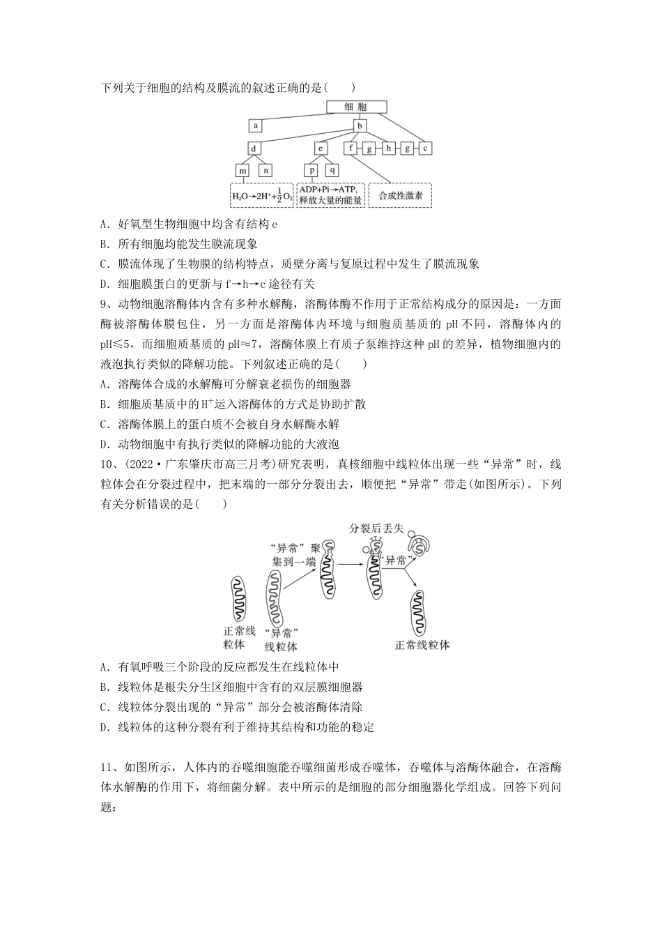 专题05 细胞器和生物膜系统（精练）（原卷版）.docx_第3页