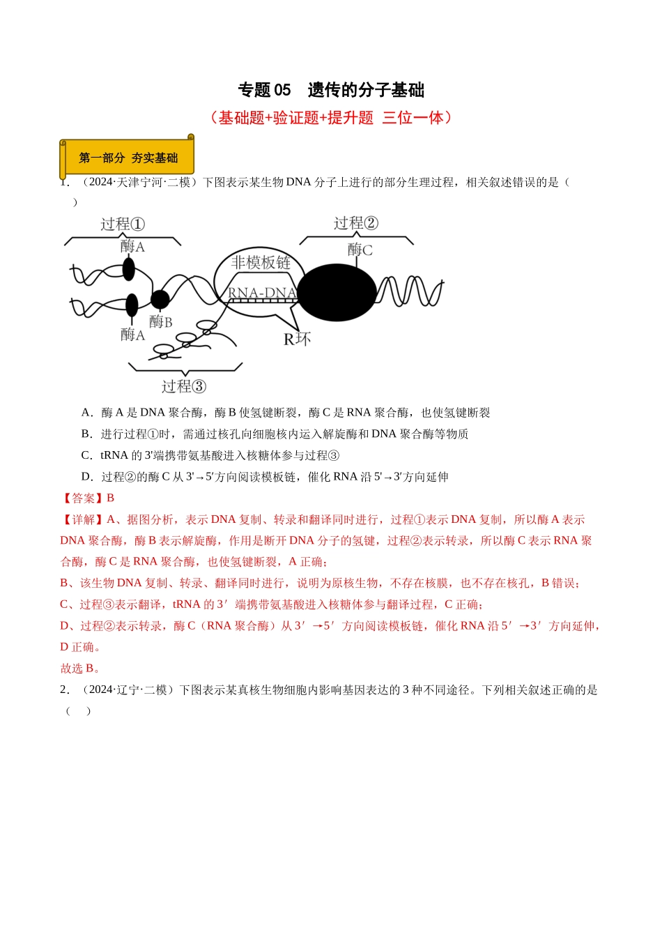 专题05 遗传的分子基础（教师版）.docx_第1页