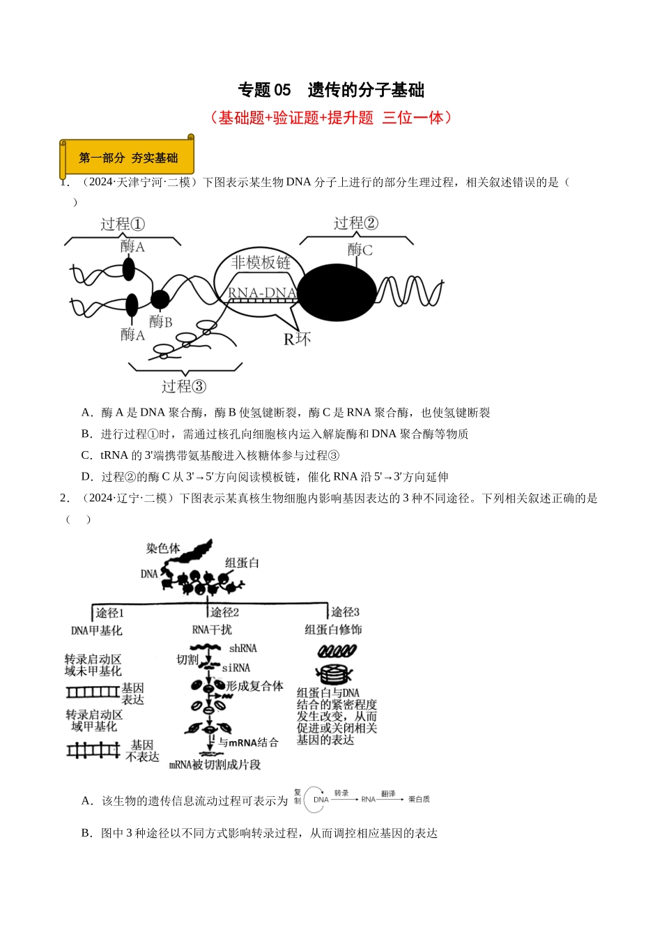 专题05 遗传的分子基础（原卷版）.docx_第1页