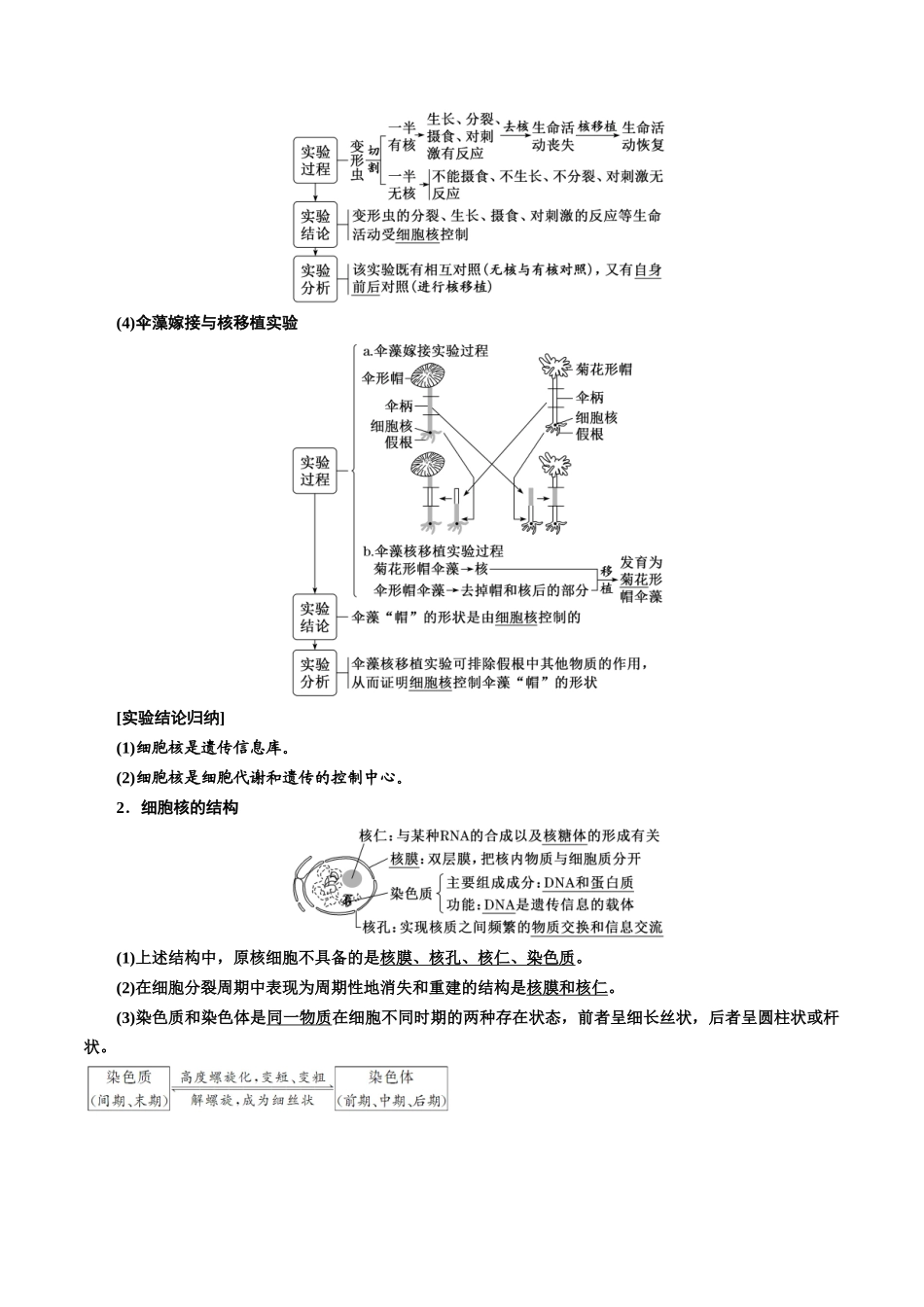 专题5 细胞膜和细胞核（原卷版) .docx_第3页