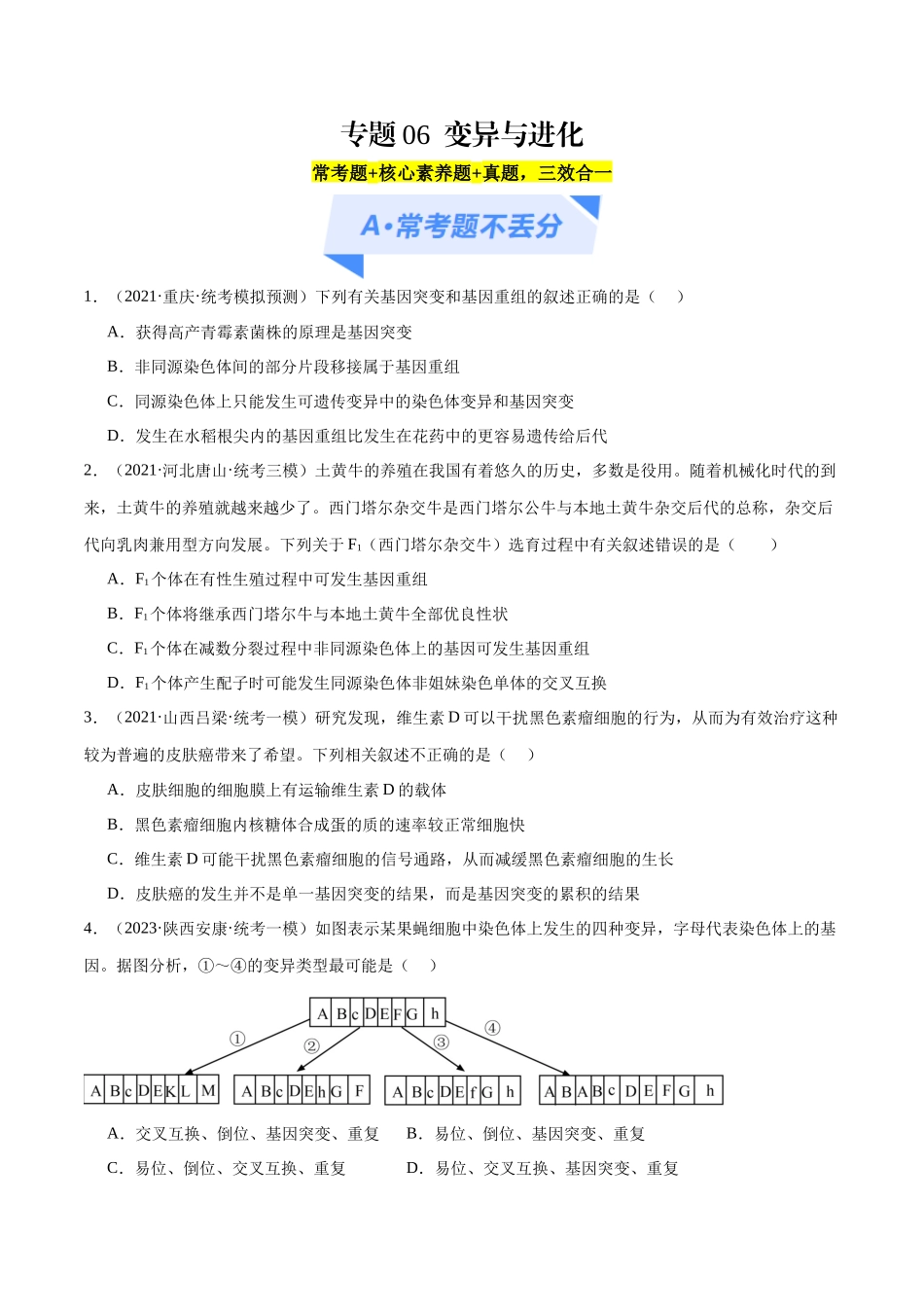 专题06  变异与进化（分层练）（原卷版）.docx_第1页