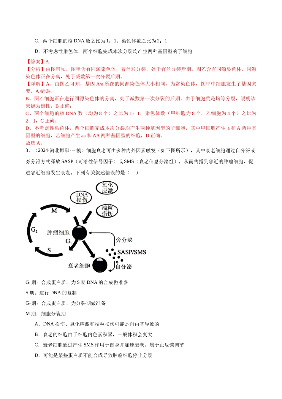 专题06 细胞增殖(解析版).docx_第2页