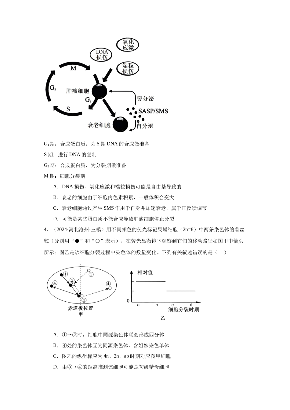 专题06 细胞增殖(学生版).docx_第2页