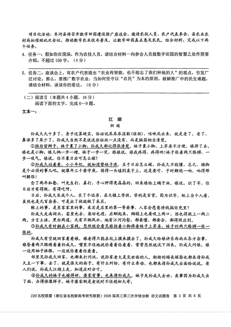 语文浙江Z20联盟(浙江名校新高考研究联盟)2026届高三年级第三次学情诊断(Z20三模)(5.14-5.16).pdf_第3页