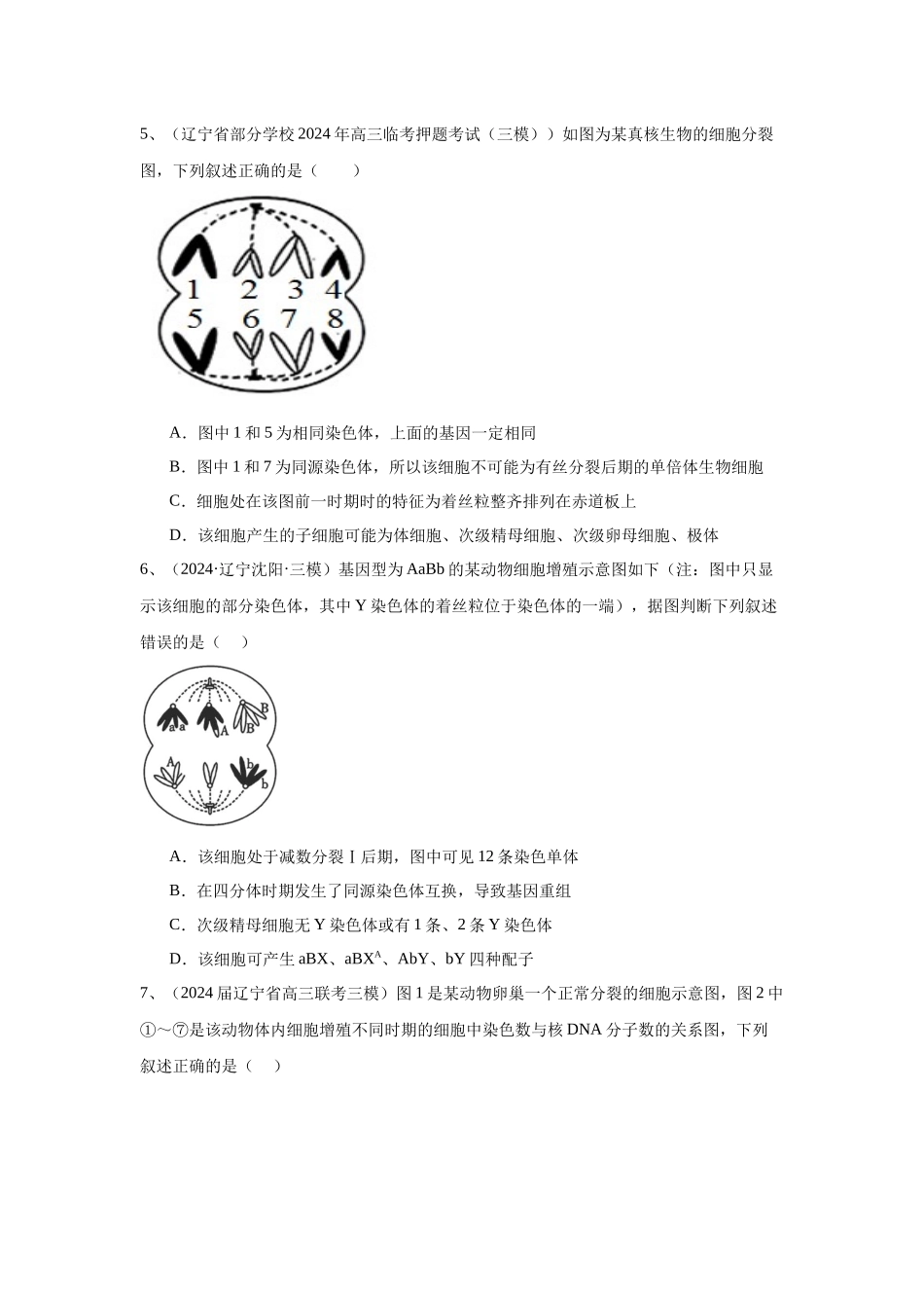 专题06 细胞增殖(原卷版).docx_第3页