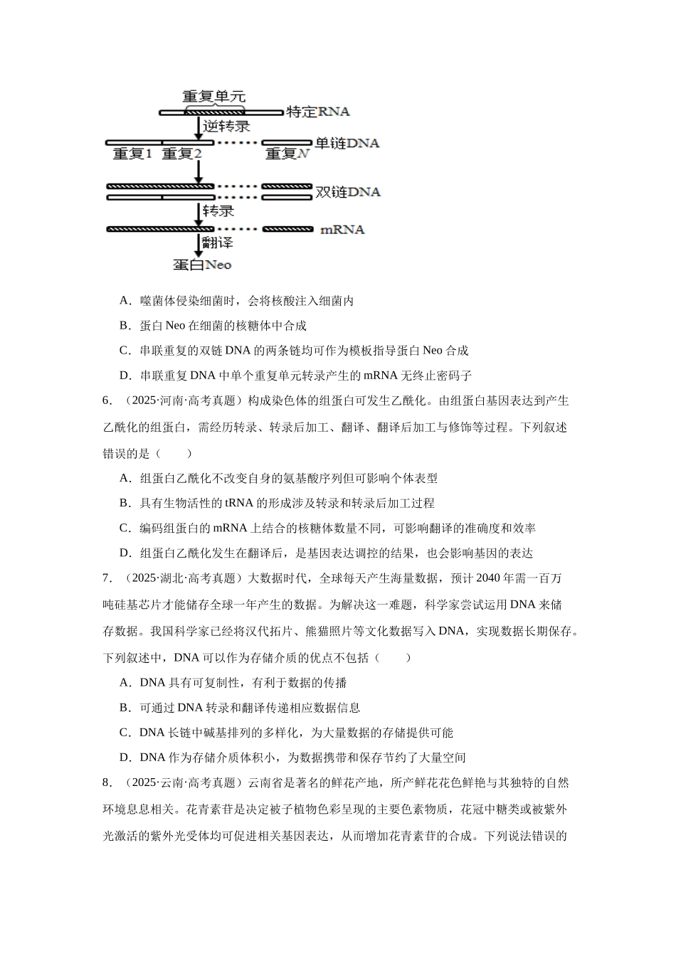 专题06 遗传的分子基础(学生版).docx_第2页