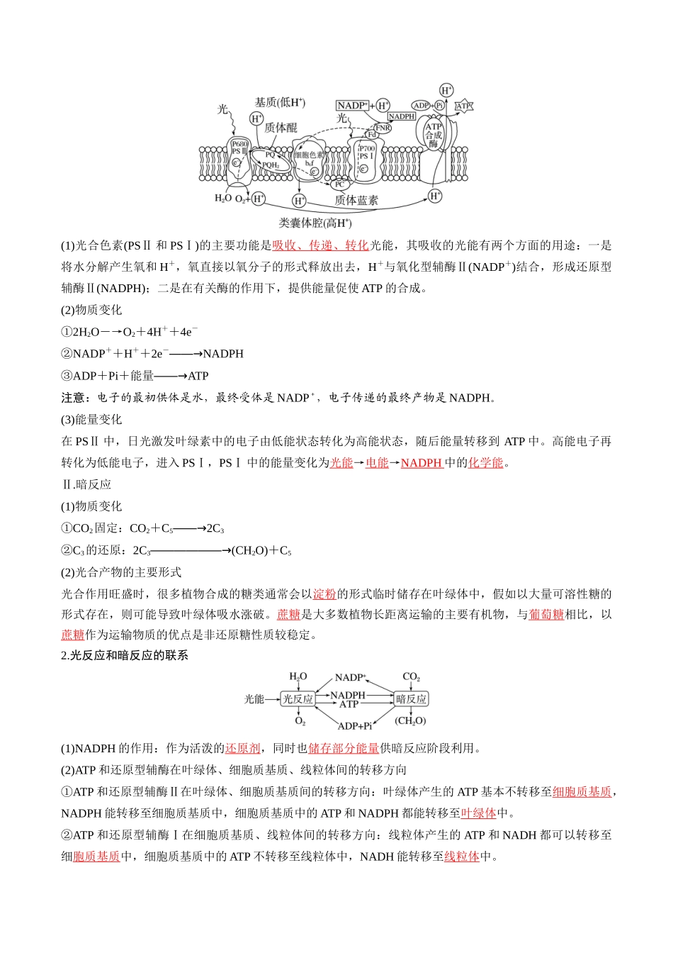 专题06 光合作用的原理(原卷版).docx_第2页