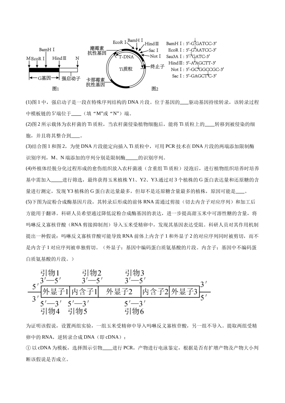 专题06 基因工程类（原卷版).docx_第3页