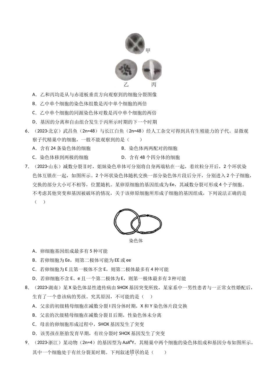 专题06 基因与染色体的关系（原卷版）.docx_第3页