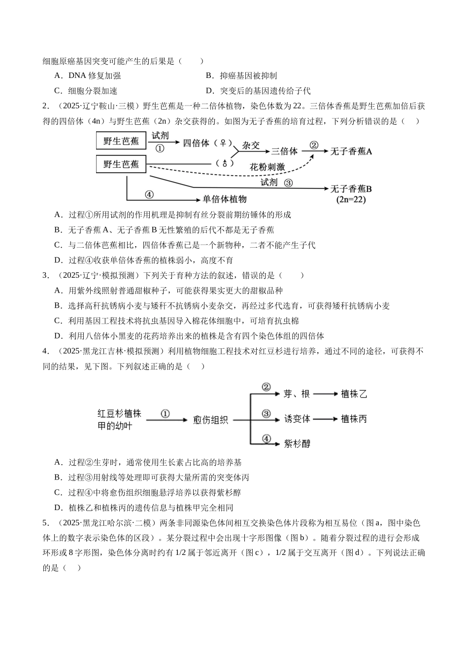 专题06 生物的变异、育种与进化(学生版).docx_第3页