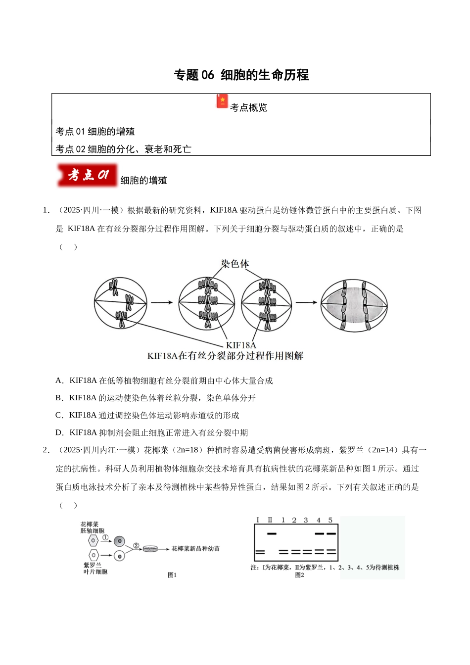 专题06 细胞的生命历程 (学生版).docx_第1页