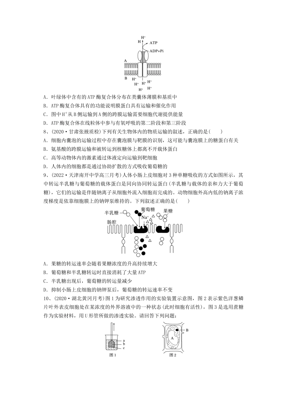 专题06 细胞的物质输入和输出（精练）（原卷版）.docx_第3页