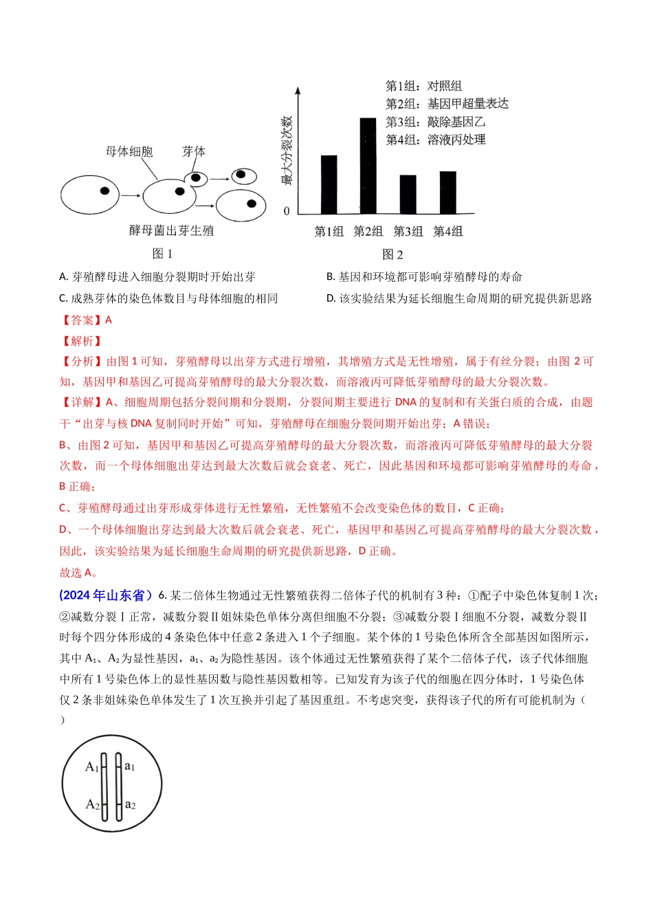专题06 细胞的增殖-(教师版).docx_第3页