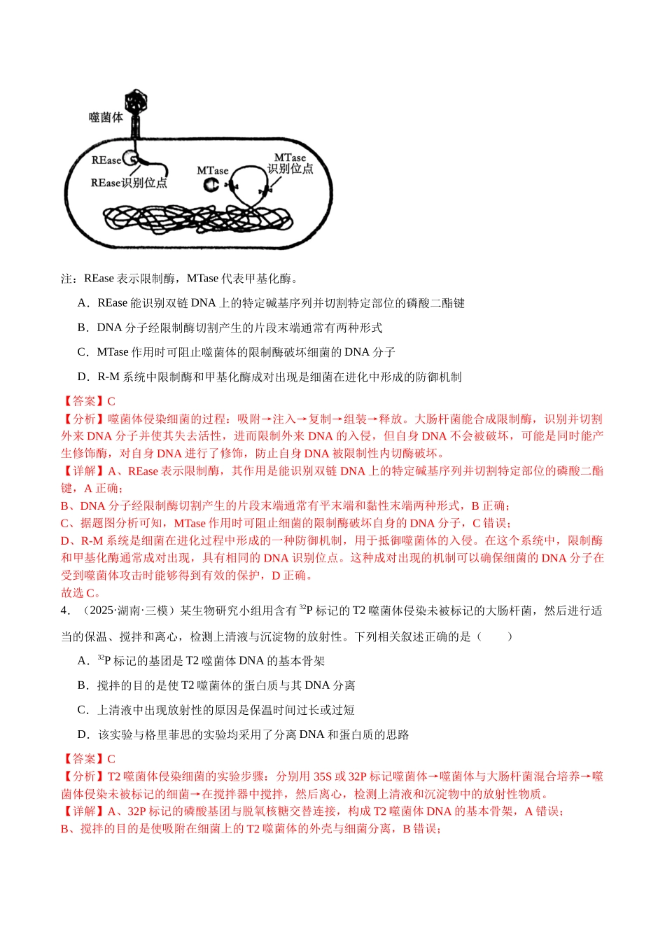 专题06 遗传的分子基础(教师版).docx_第3页