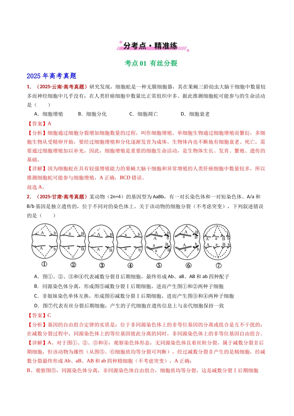 专题06 有丝分裂和减数分裂（全国通用）（教师版）.docx_第2页
