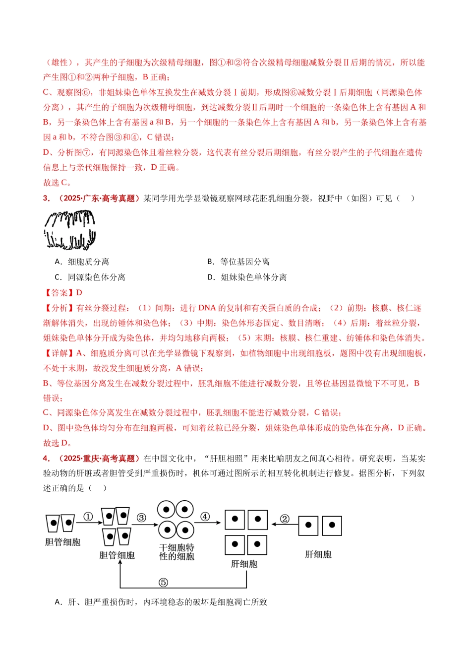 专题06 有丝分裂和减数分裂（全国通用）（教师版）.docx_第3页
