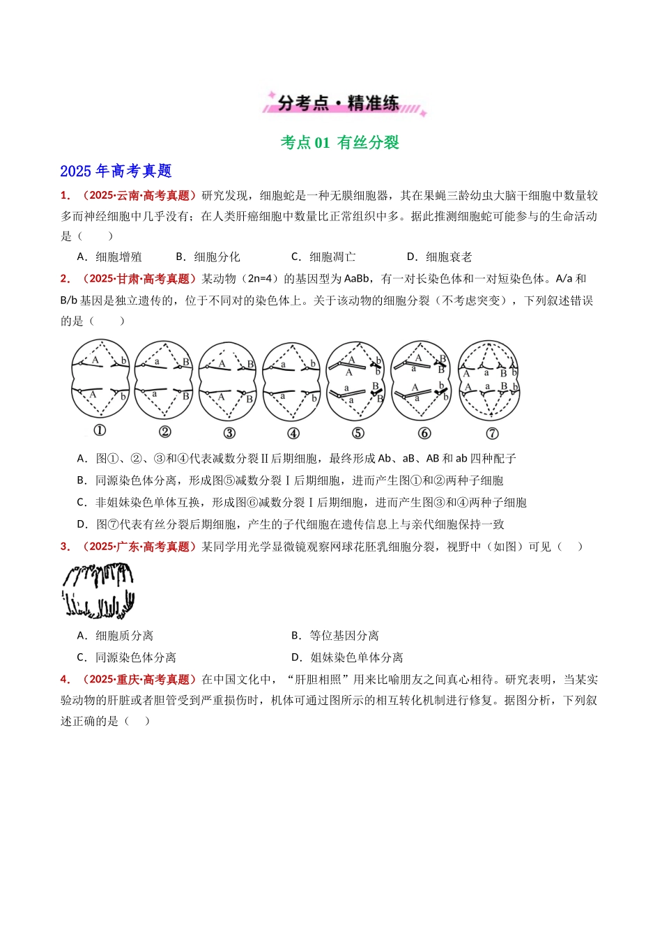 专题06 有丝分裂和减数分裂(全国通用)(学生版).docx_第2页