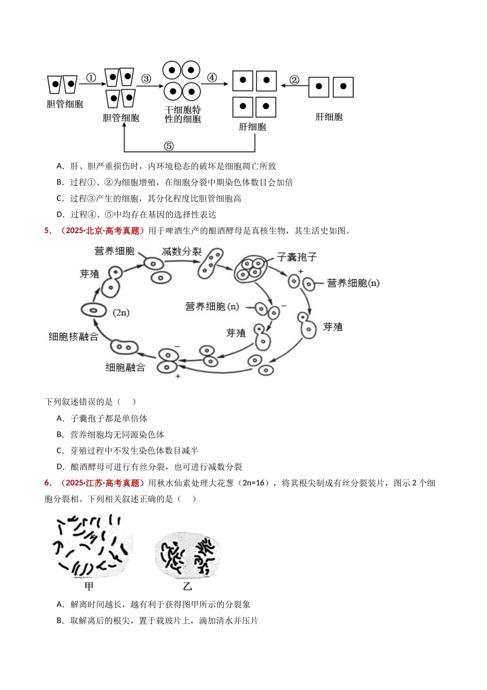 专题06 有丝分裂和减数分裂(全国通用)(学生版).docx_第3页