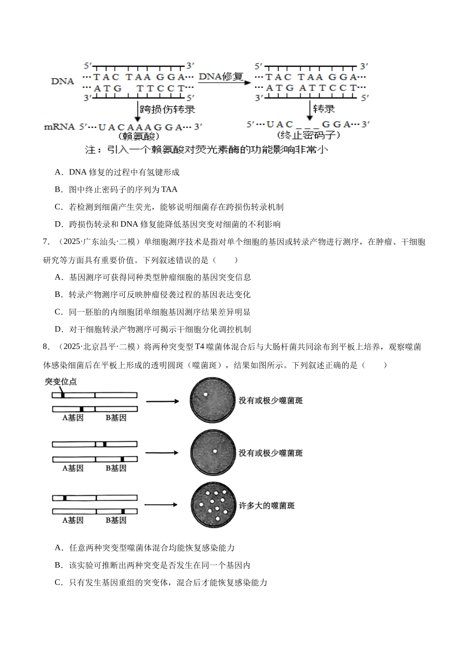 专题07 变异与育种(学生版).docx_第3页