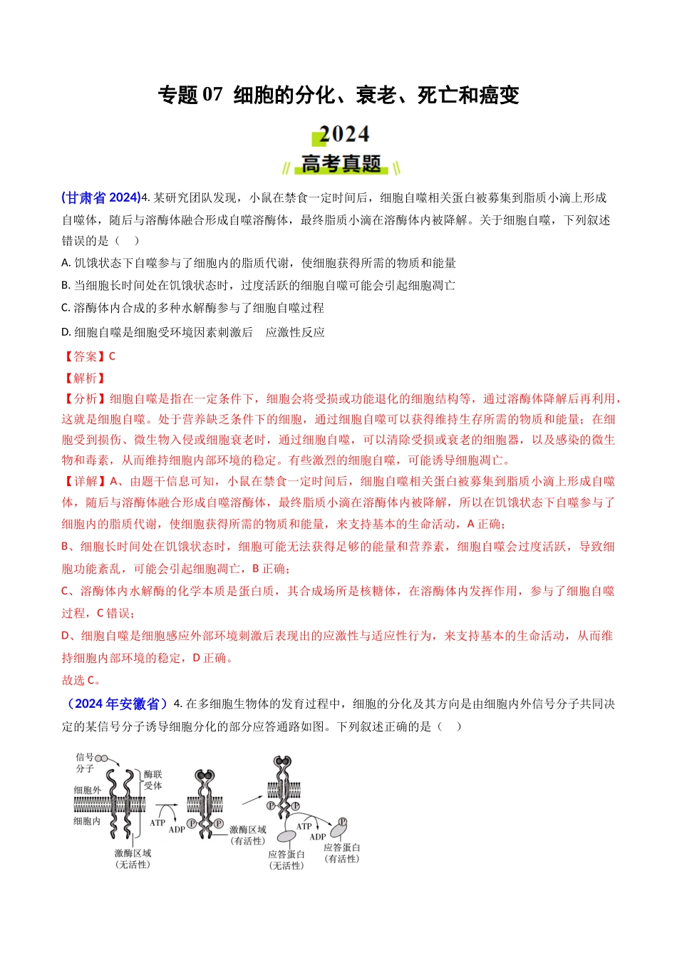专题07 细胞的分化、衰老、死亡和癌变-（教师版）.docx_第1页