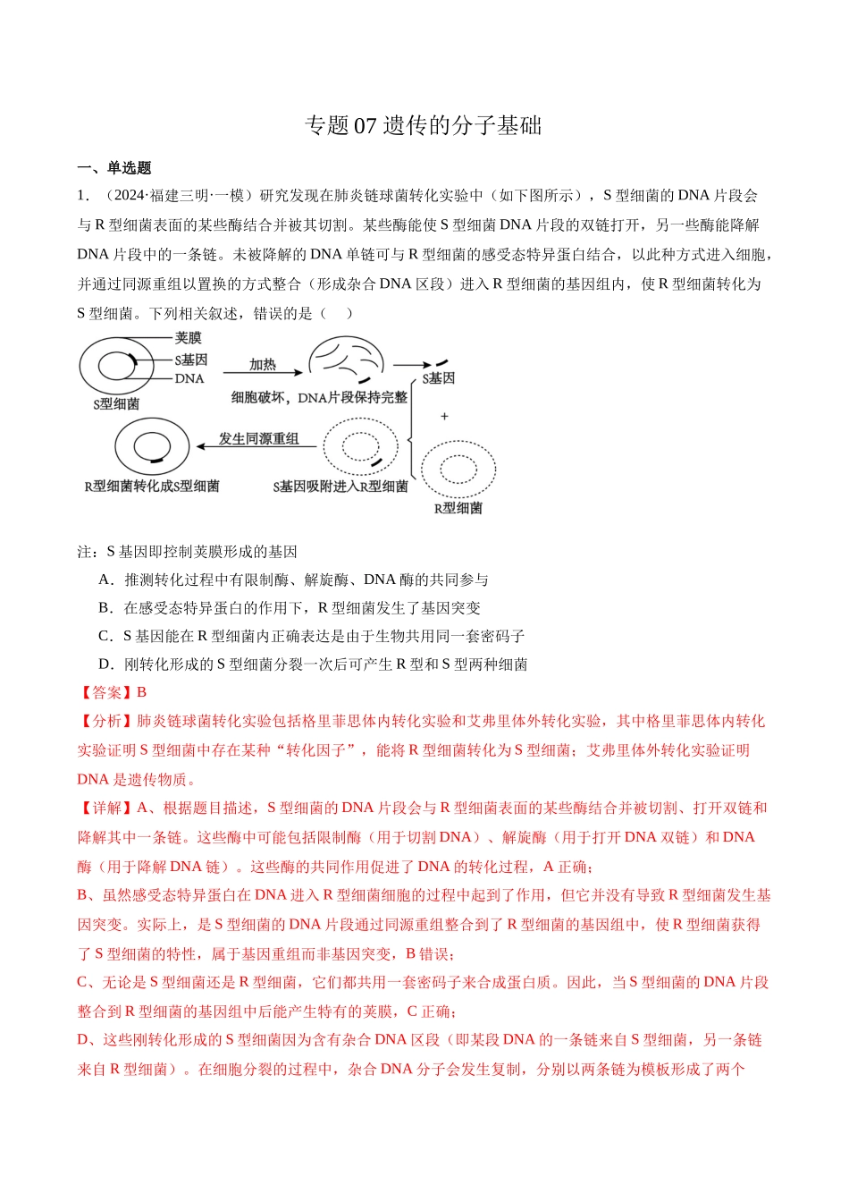 专题07 遗传的分子基础（解析版）.docx_第1页