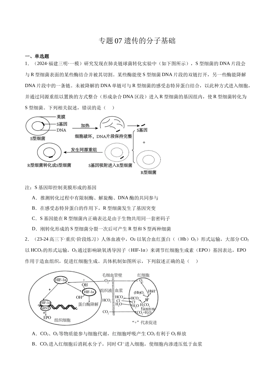 专题07 遗传的分子基础（原卷版）.docx_第1页
