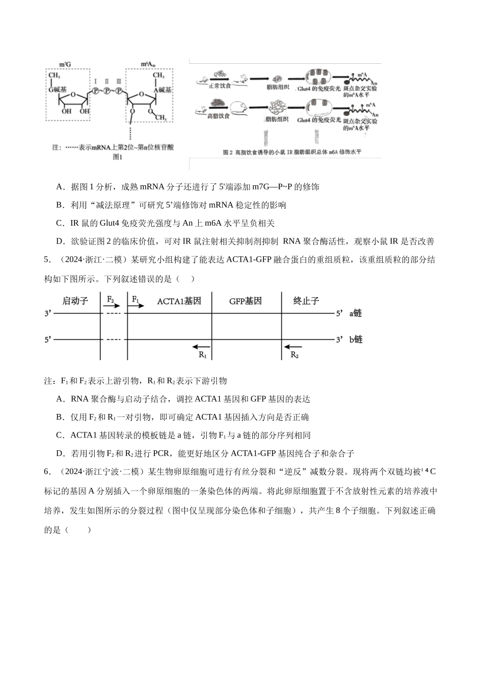 专题07 遗传的分子基础（原卷版）.docx_第3页