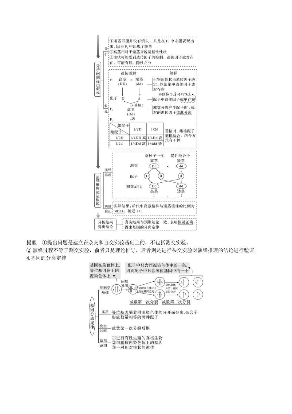 专题07 遗传的基本规律（教师版）.docx_第3页