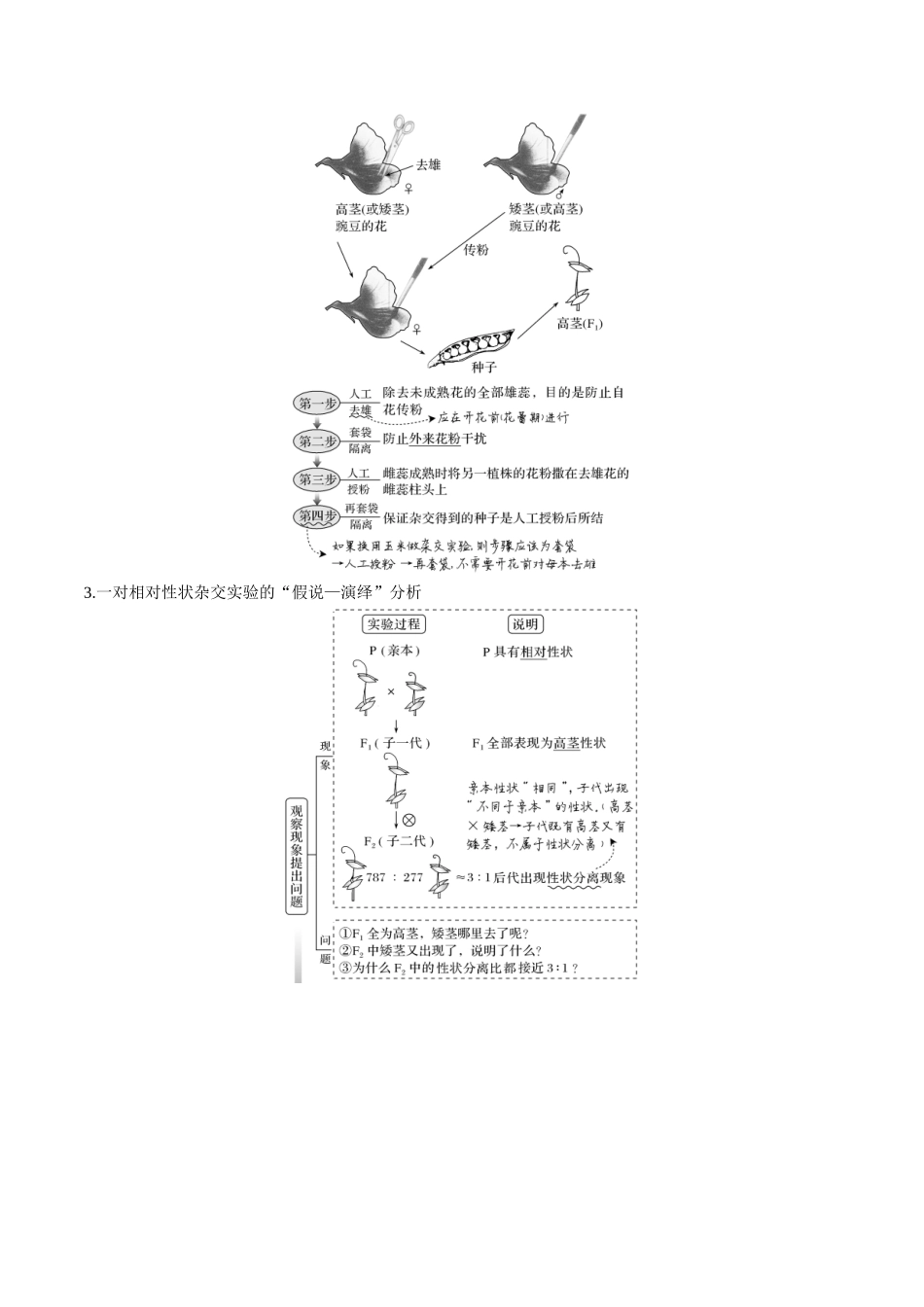 专题07 遗传的基本规律（学生版）.docx_第2页