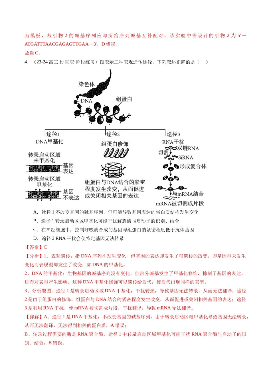 专题07 遗传的物质基础（DNA的结构、复制、转录、翻译）解析版.docx_第3页