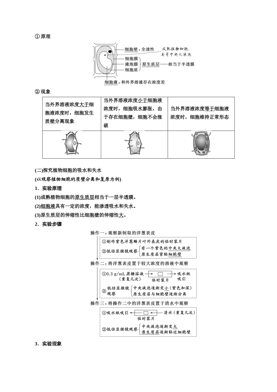 专题7 物质运输(解析版).docx_第2页