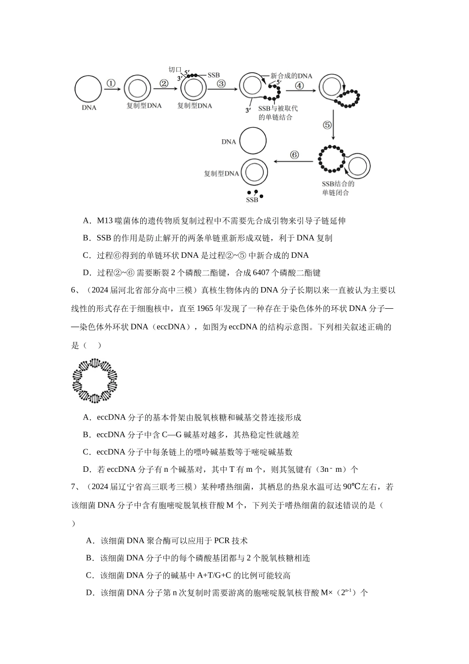 专题08  遗传的物质基础（DNA的结构、复制、转录、翻译）（原卷版）.docx_第3页