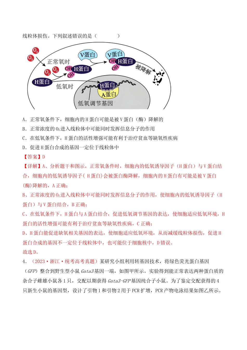 专题08 基因的表达以及基因频率的计算(解析版).docx_第3页