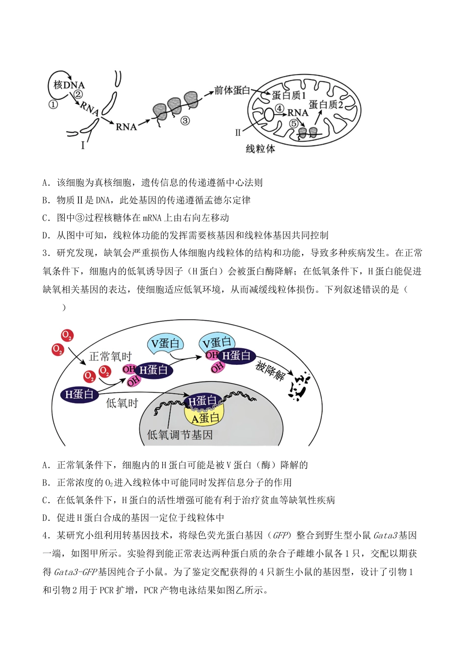 专题08 基因的表达以及基因频率的计算(原卷版).docx_第2页