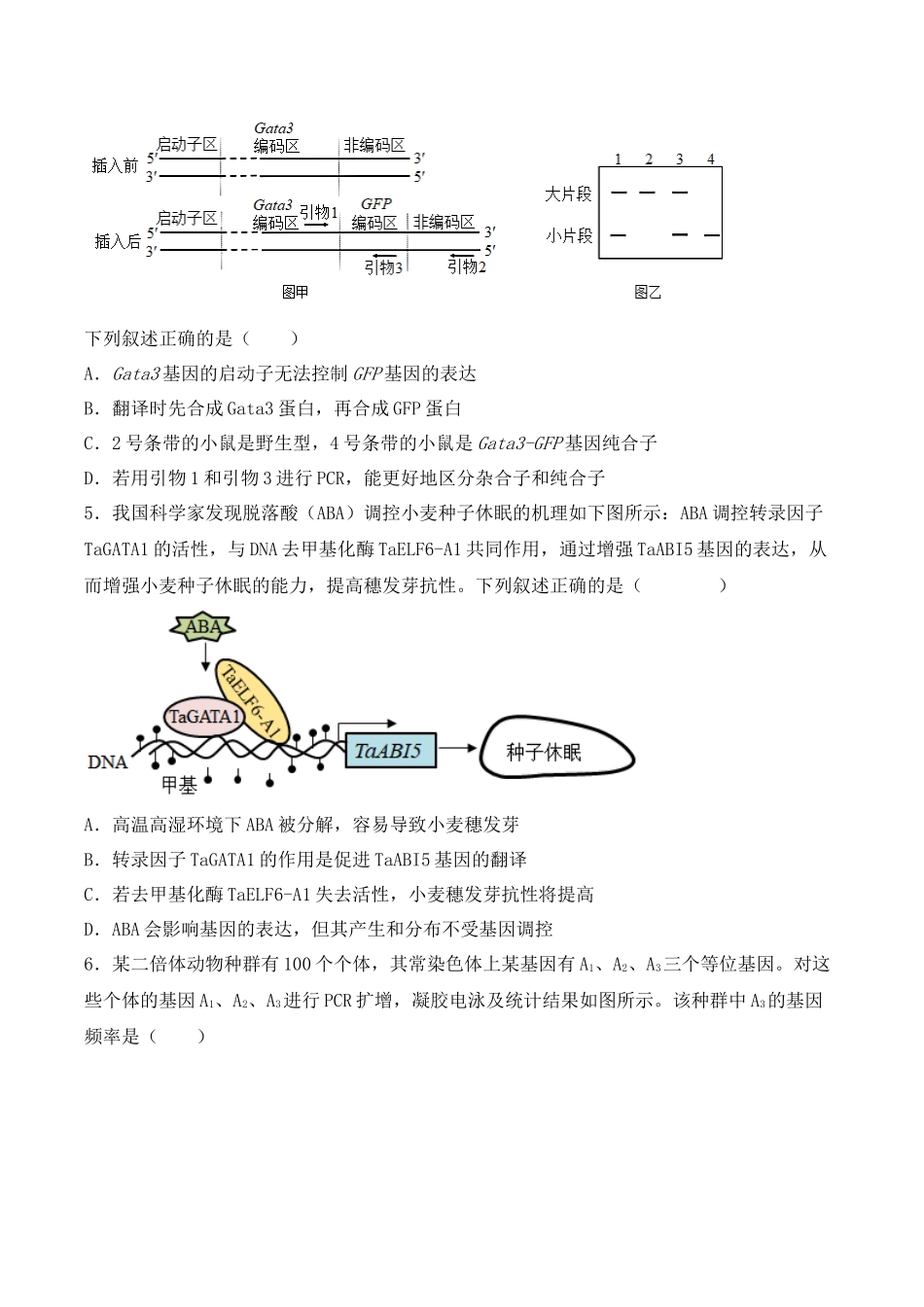 专题08 基因的表达以及基因频率的计算(原卷版).docx_第3页