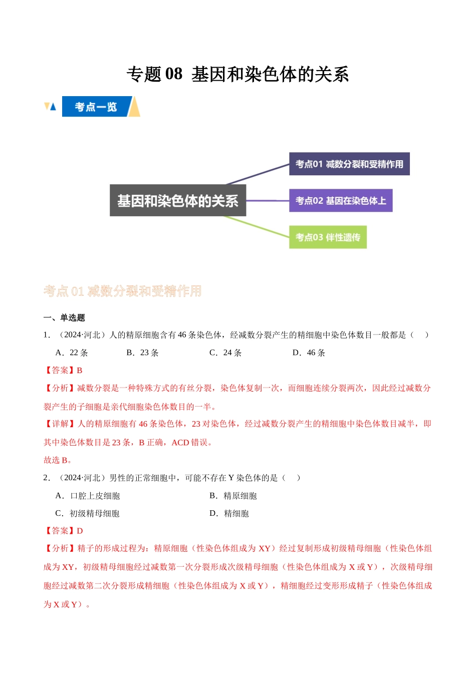 专题08 基因和染色体的关系（教师版）.docx_第1页