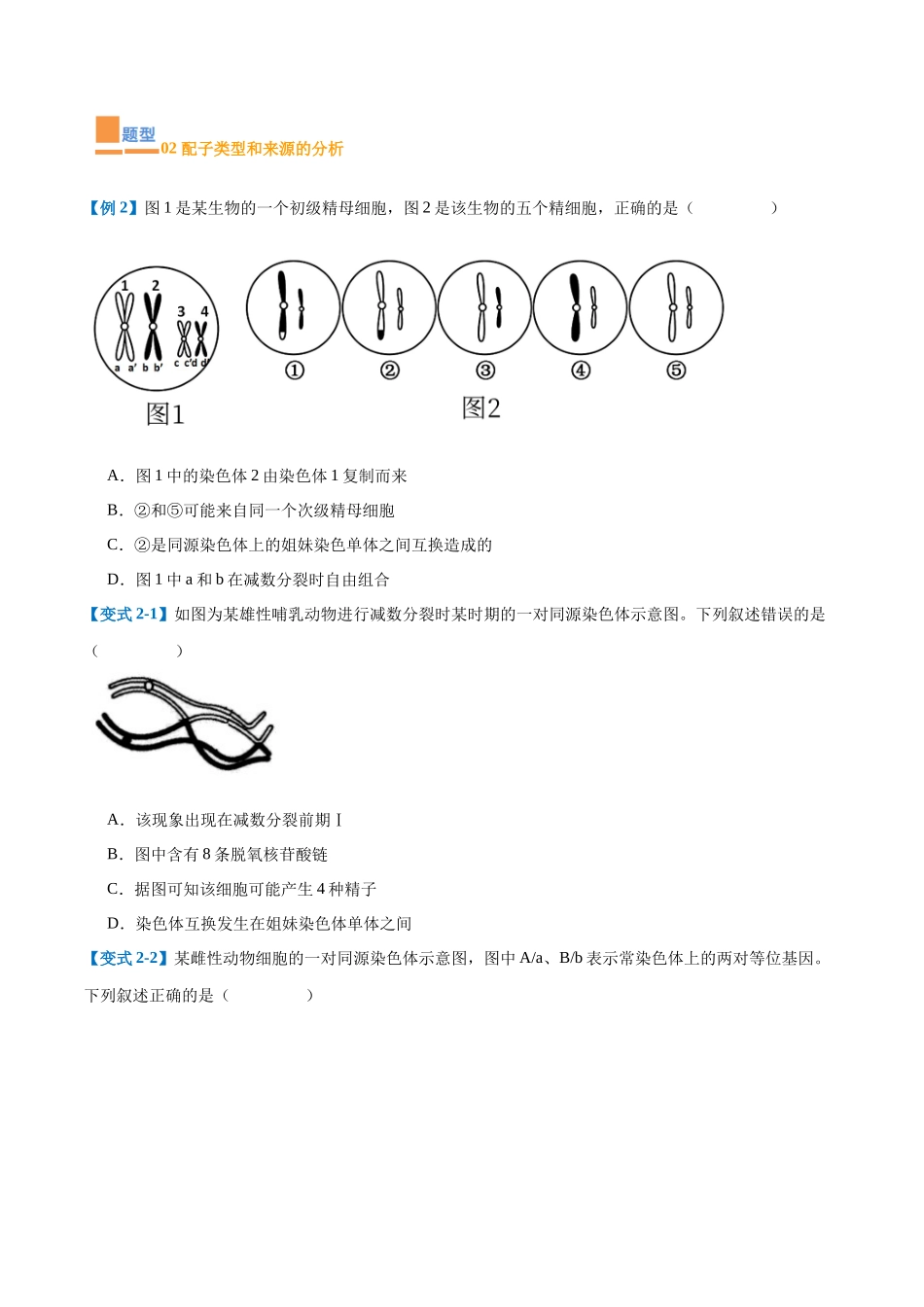 专题08 减数分裂和受精作用（5大题型）（学生版）.docx_第3页